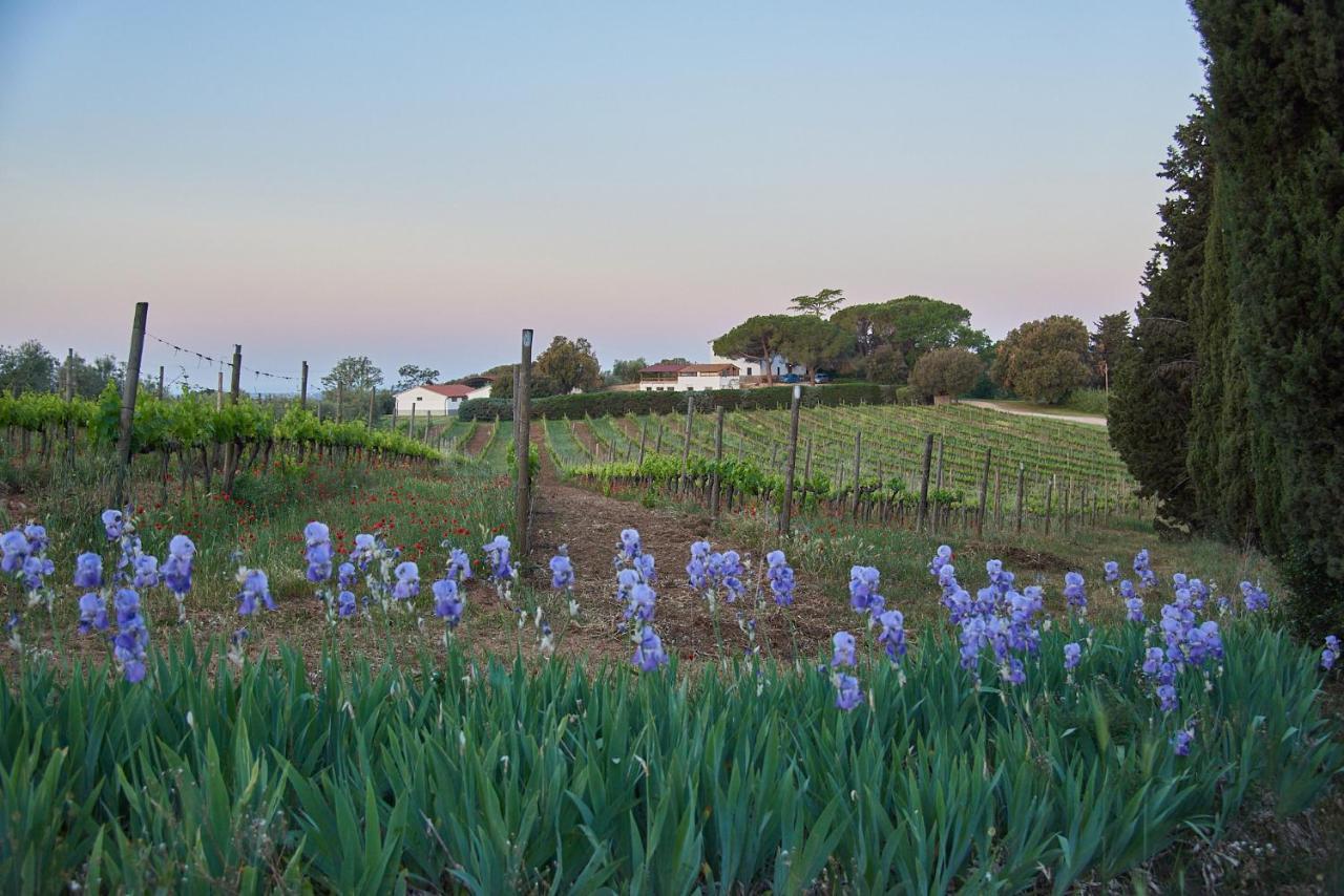 Agriturismo Tesorino ماسا ماريتيما المظهر الخارجي الصورة