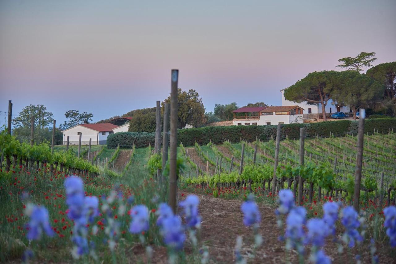Agriturismo Tesorino ماسا ماريتيما المظهر الخارجي الصورة