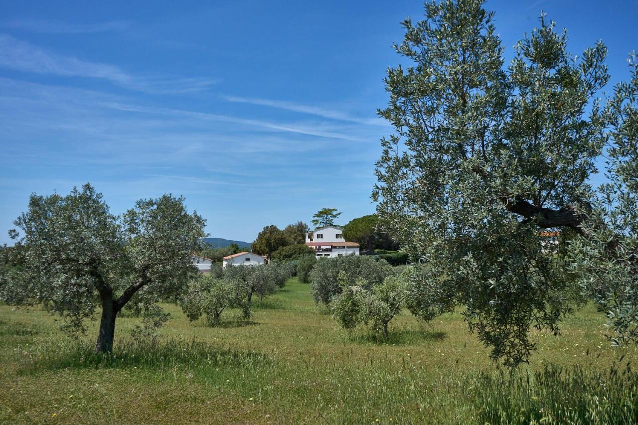 Agriturismo Tesorino ماسا ماريتيما المظهر الخارجي الصورة