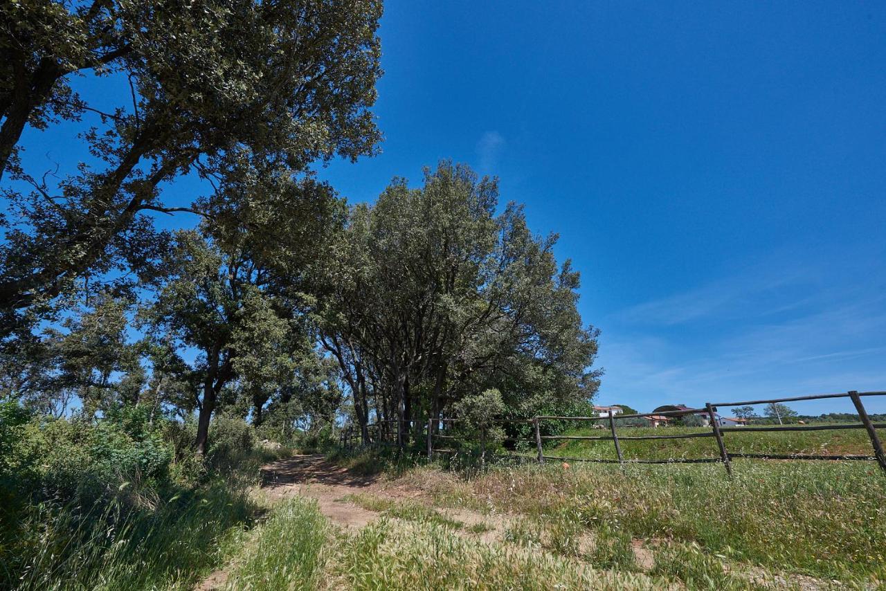 Agriturismo Tesorino ماسا ماريتيما المظهر الخارجي الصورة