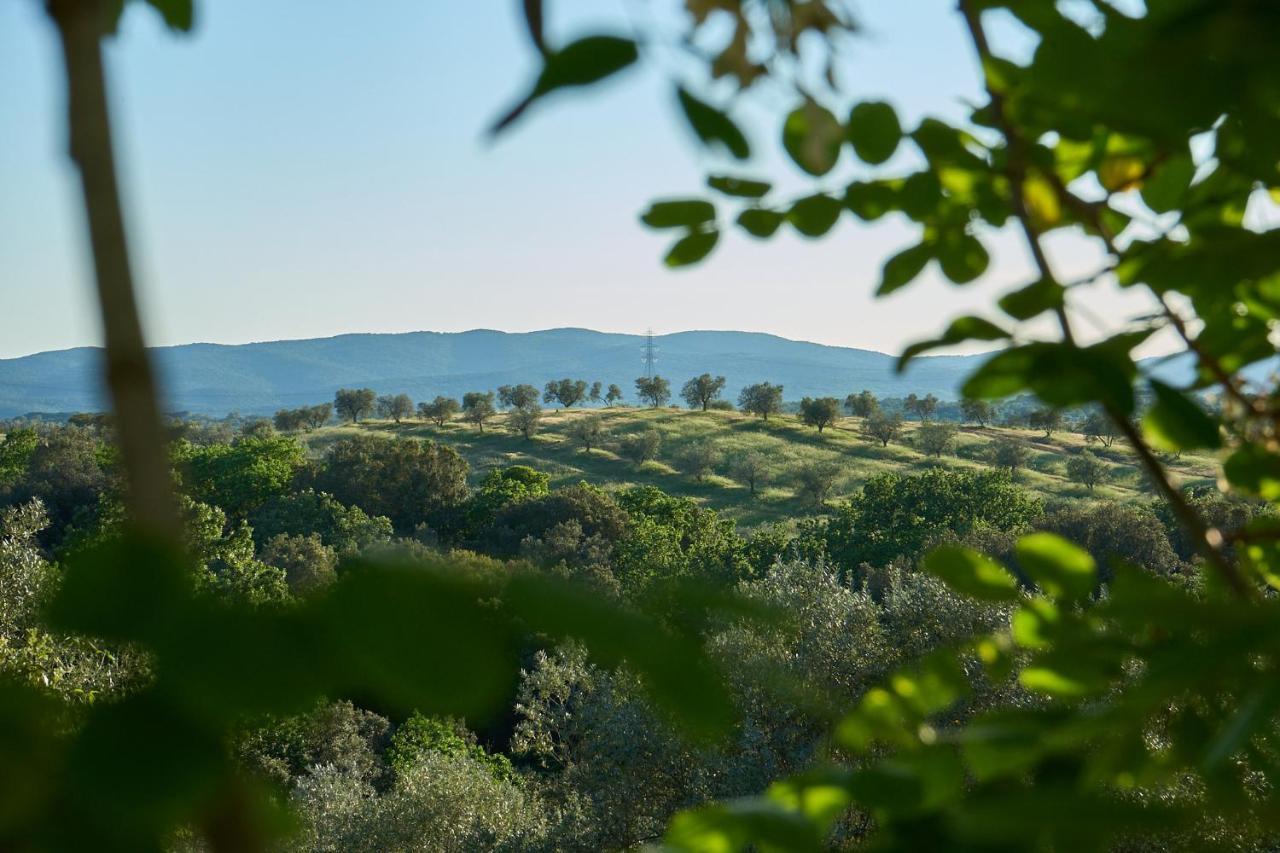 Agriturismo Tesorino ماسا ماريتيما المظهر الخارجي الصورة